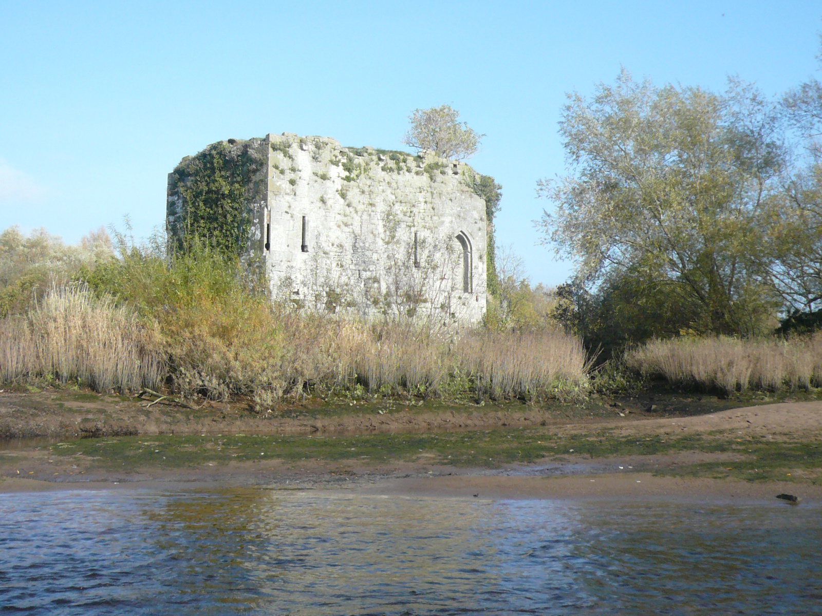 2016 10 River Shannon Limerick, Corbally,  Thomas Island