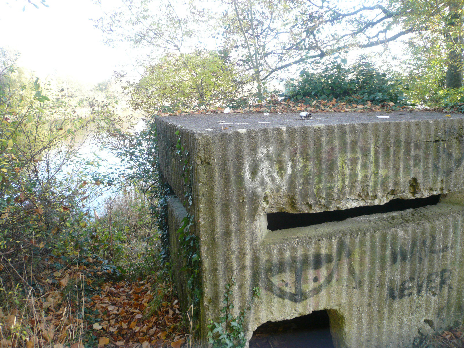 2016 10 River Shannon Limerick Corbally guard pillbox
