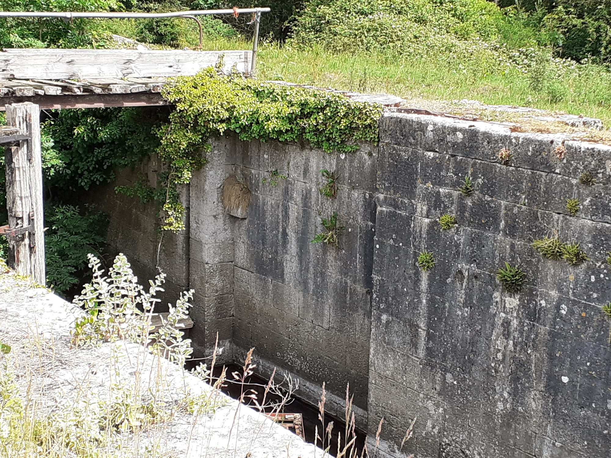 2020 06 14th River Shannon, Meelick, Old Hamilton Lock, built in 1755