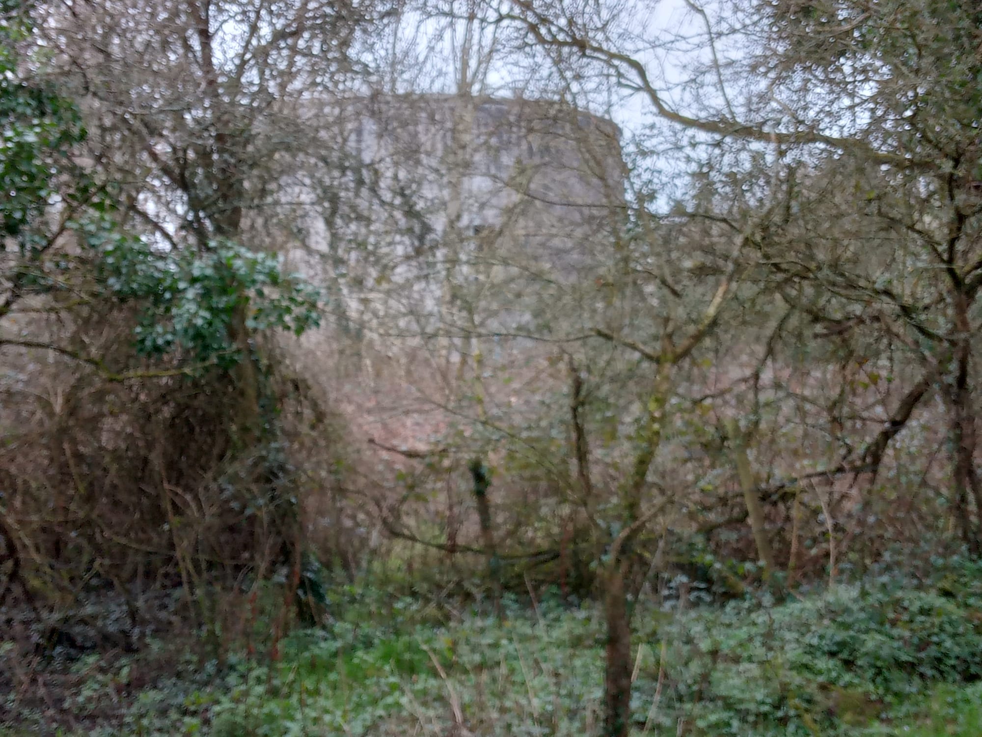 2023 03 06th River Shannon Meelick Lusmagh martello tower