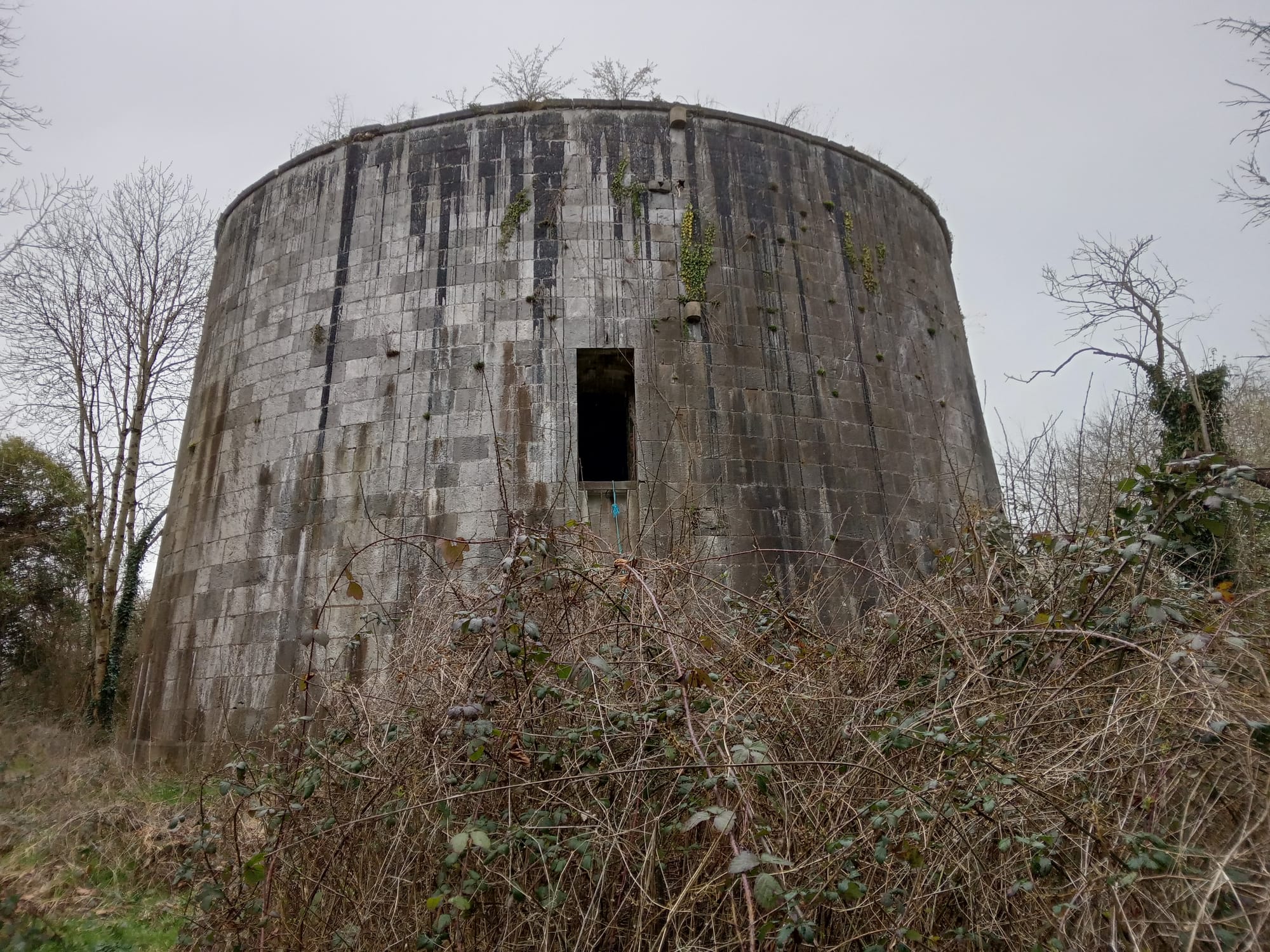 2023 03 06th River Shannon Meelick Lusmagh martello tower