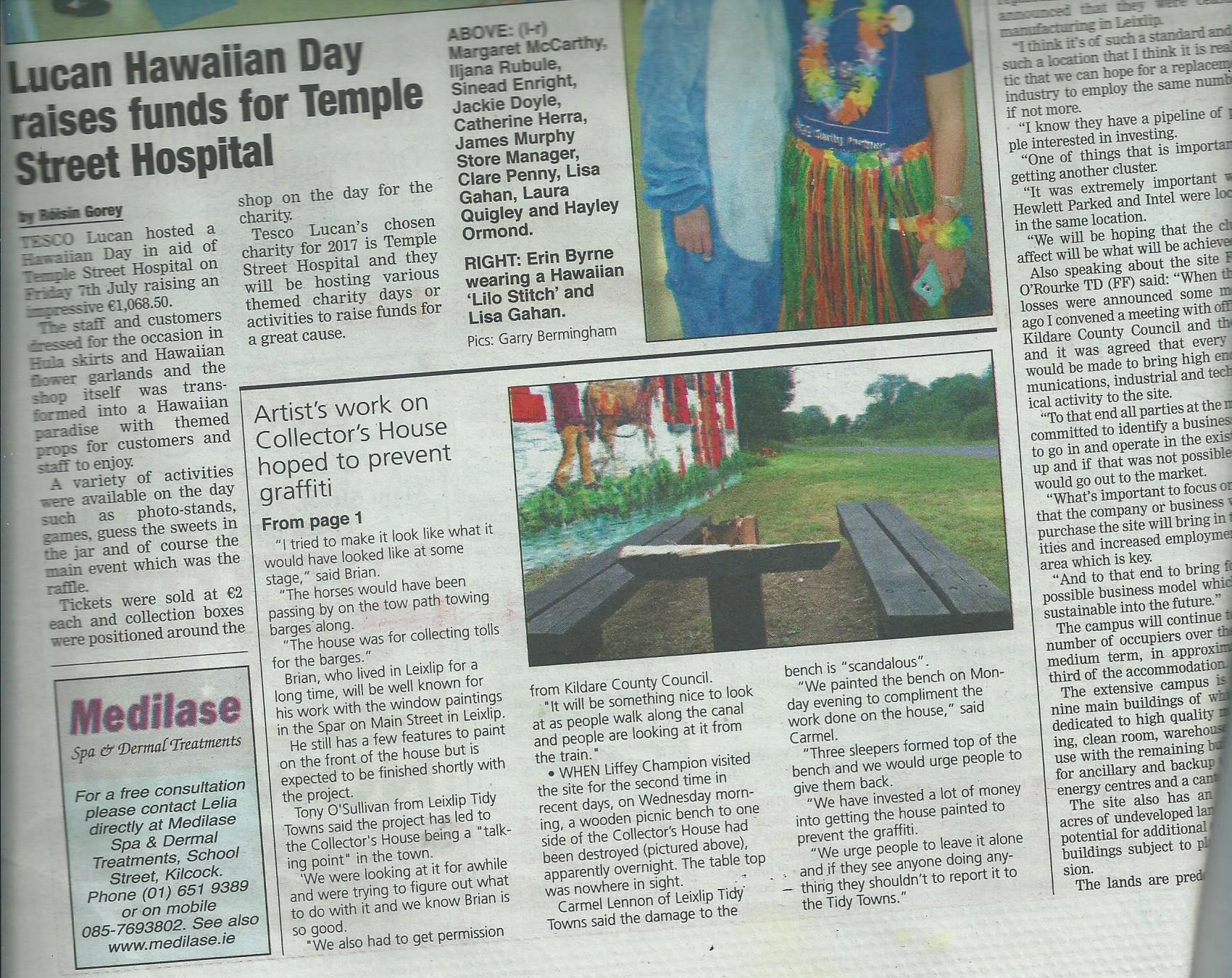 2018 10 Royal Canal Leixlip Toll House artwork 2