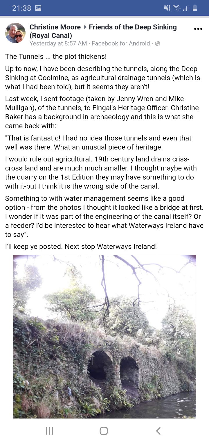 2021 06 Royal Canal Dublin deep sinking FB post by Chris Moore.1