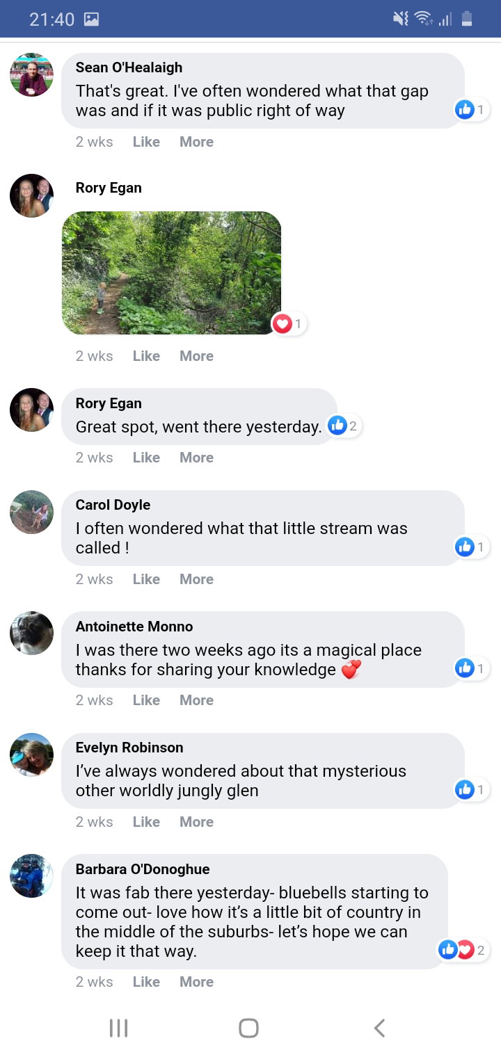 2021 06 Royal Canal Dublin deep sinking FB post by Chris Moore.3