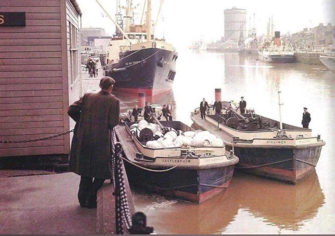 000 River Liffey Guinness barges Castleknock Killiney