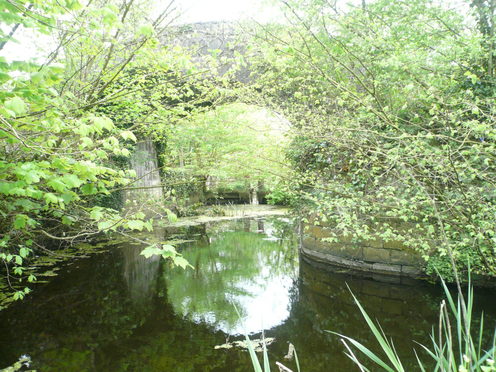 2017 05 Boyne Navigation 104 Navan Ruxtons Lock