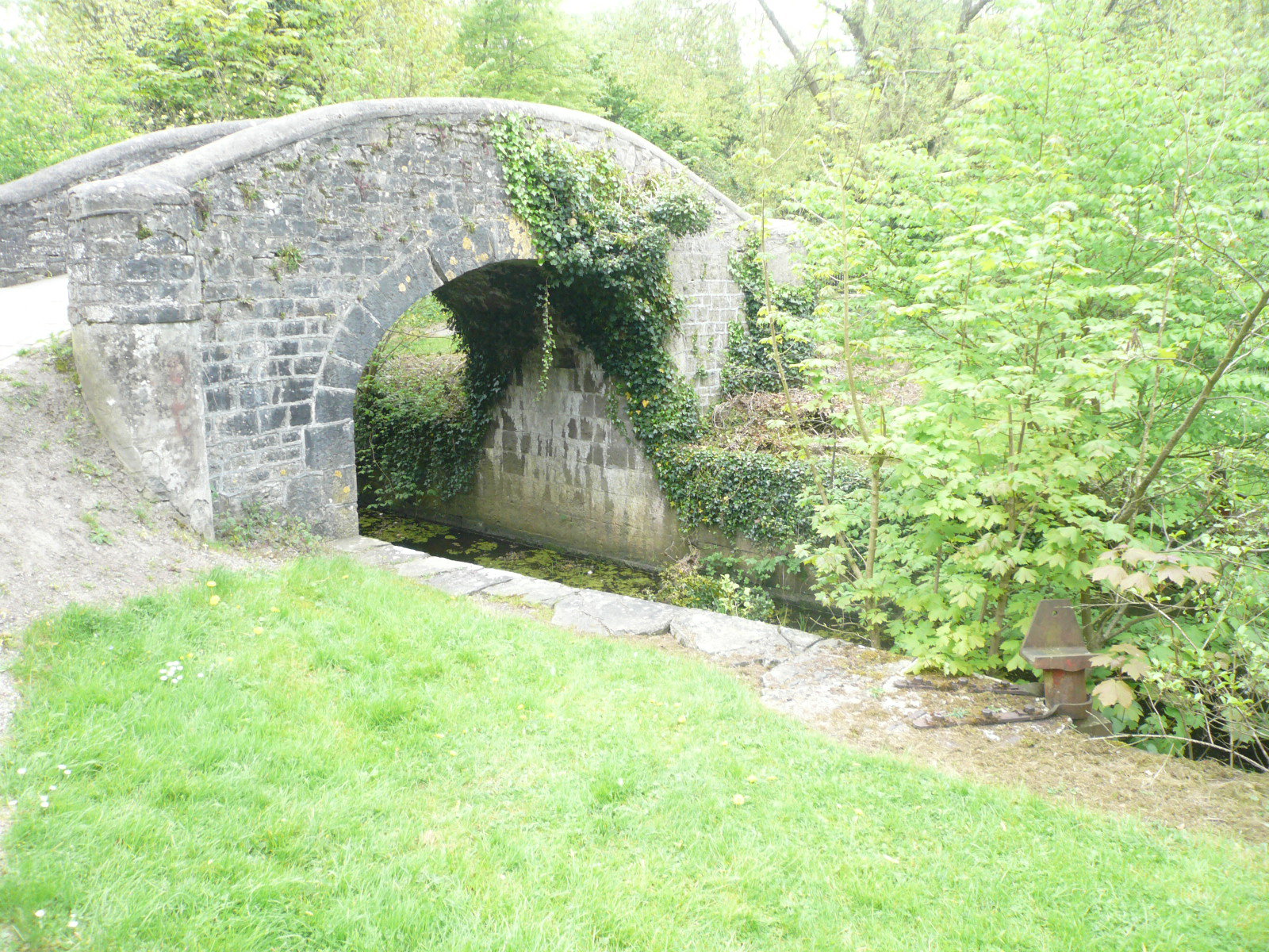 2017 05 Boyne Navigation 120 Navan Athlumney Bridge