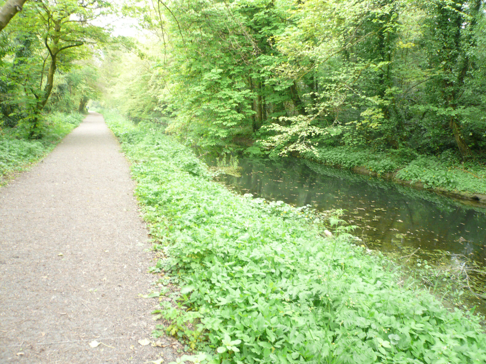 2017 05 Boyne Navigation 126 Navan Boyne Towpath