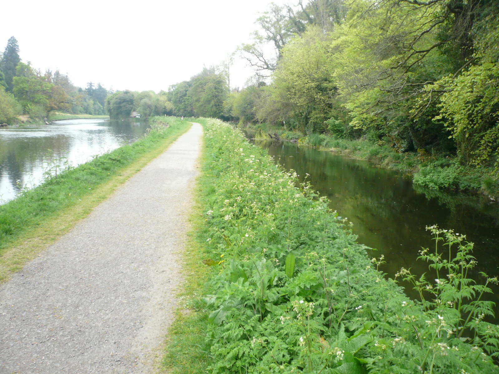 2017 05 Boyne Navigation 130 Navan Boyne Towpath