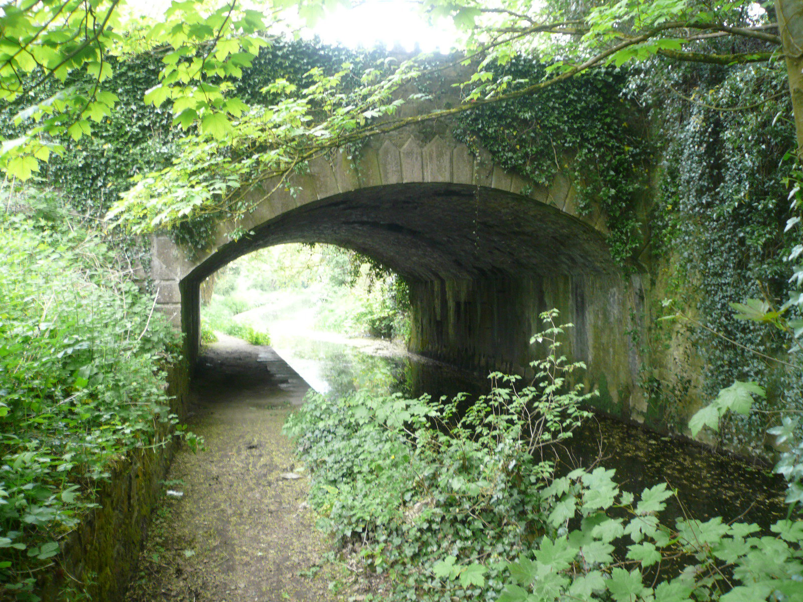 2017 05 Boyne Navigation 132 Navan Boyne Towpath