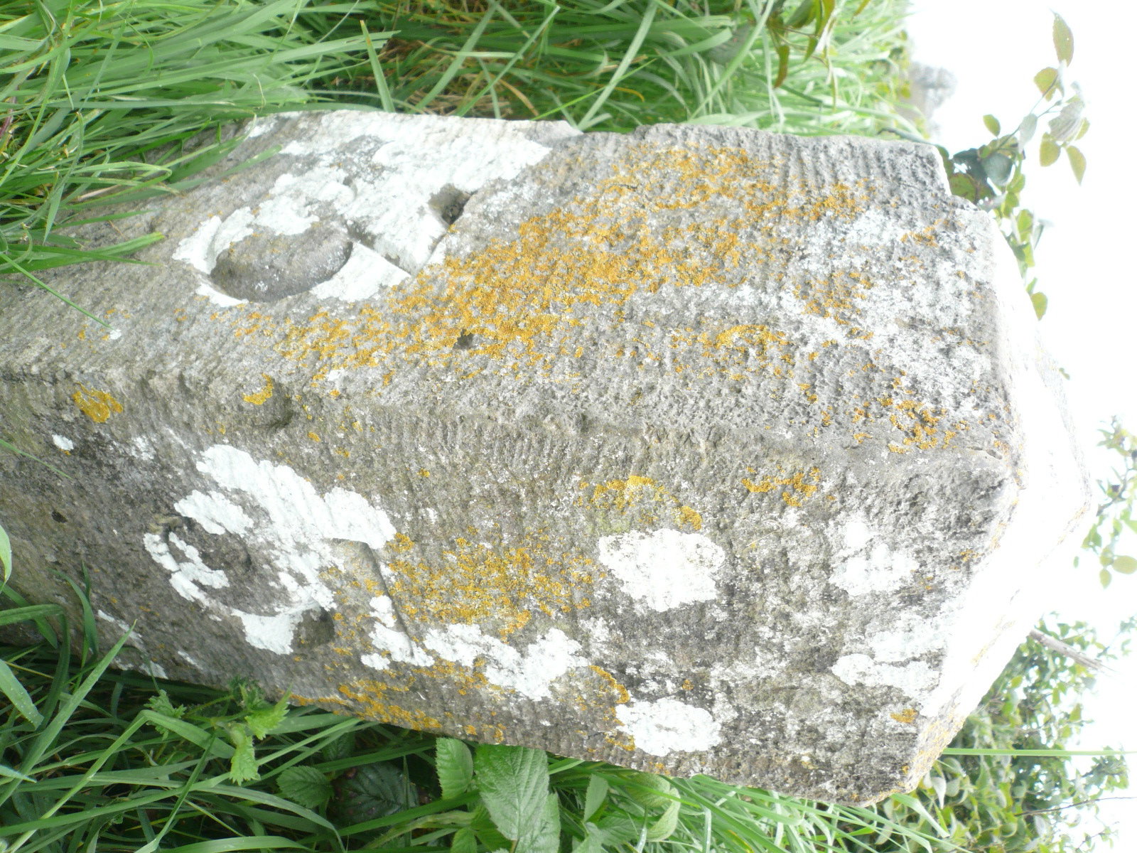 2017 05 Boyne Navigation 146 milemaker