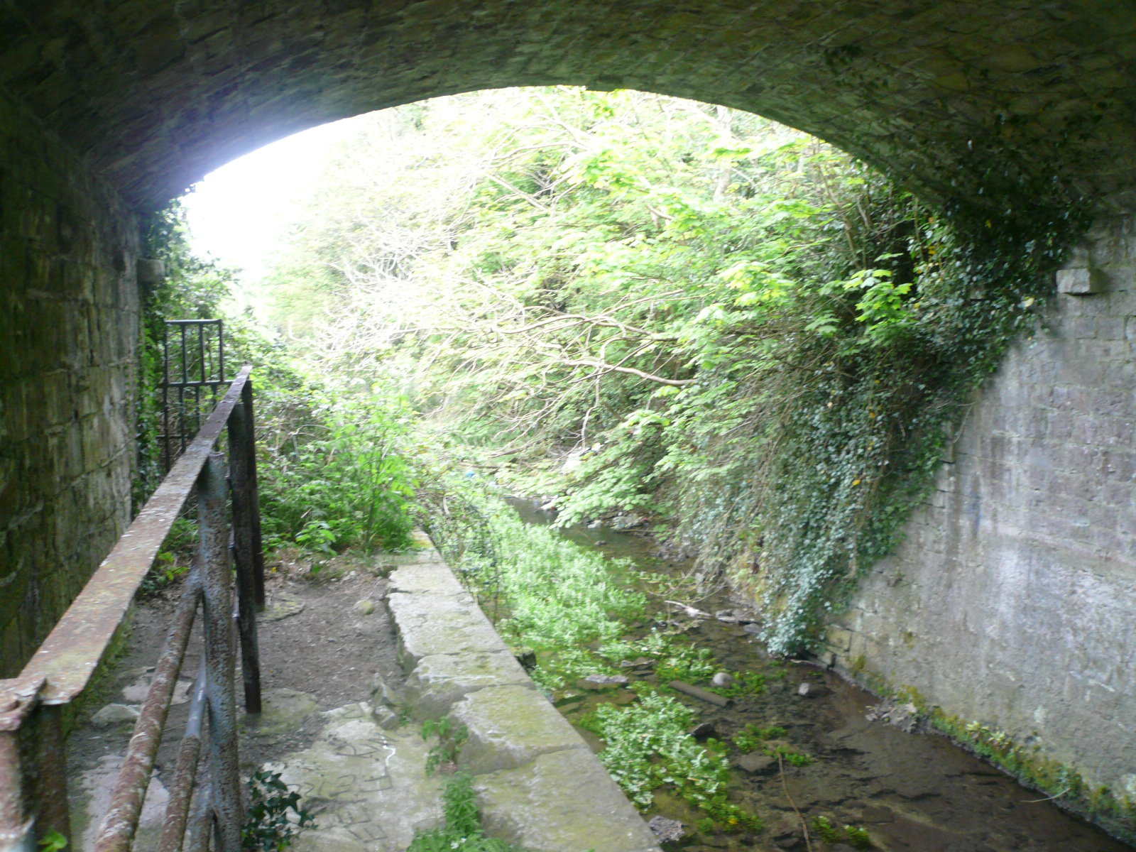 2017 05 Boyne Navigation 152 Stackallen Lock