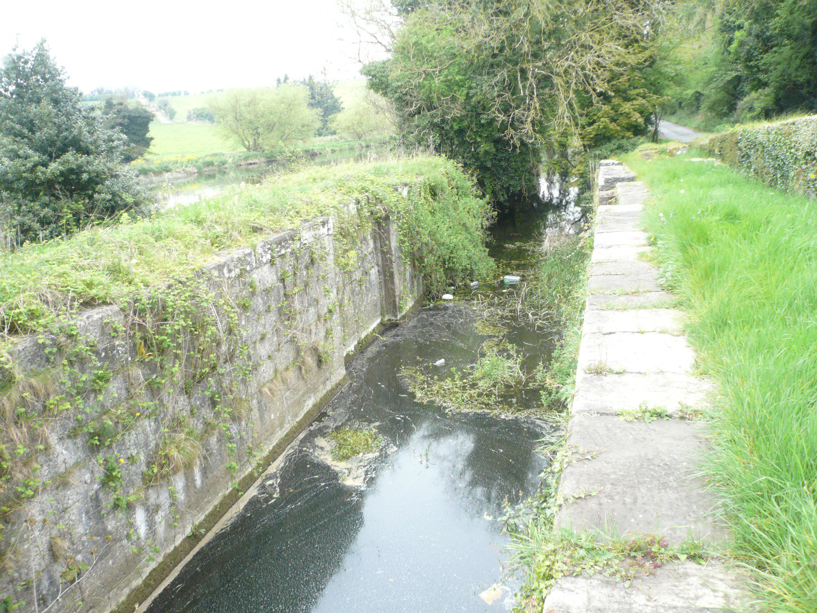 2017 05 Boyne Navigation 154 Stackallen Lock