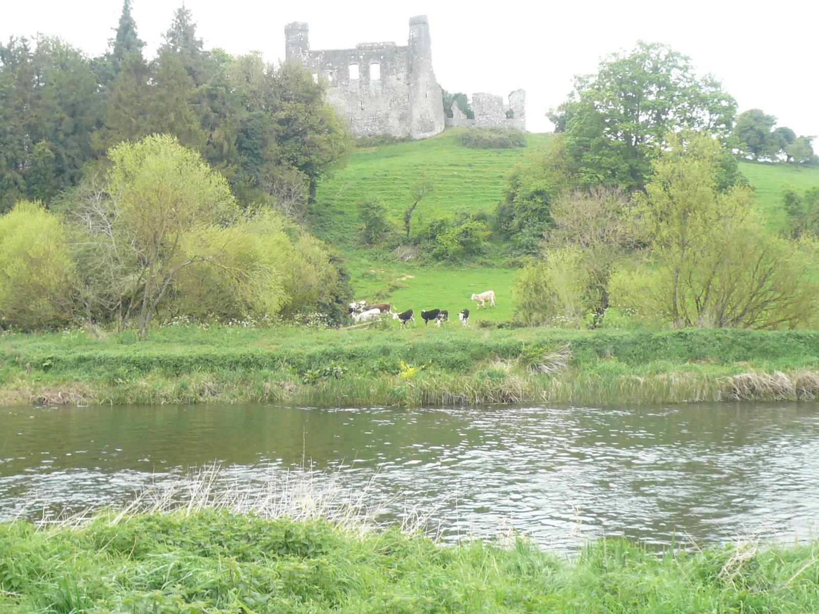 2017 05 Boyne Navigation 160 Ardmulchan Church