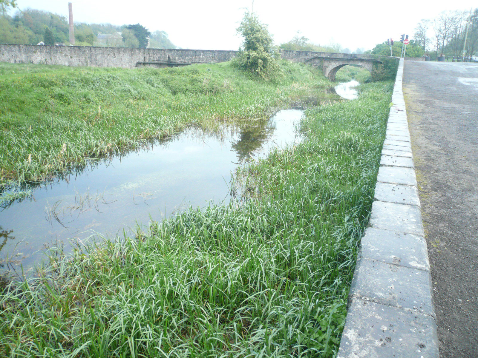 2017 05 Boyne Navigation 170 Slane Canal