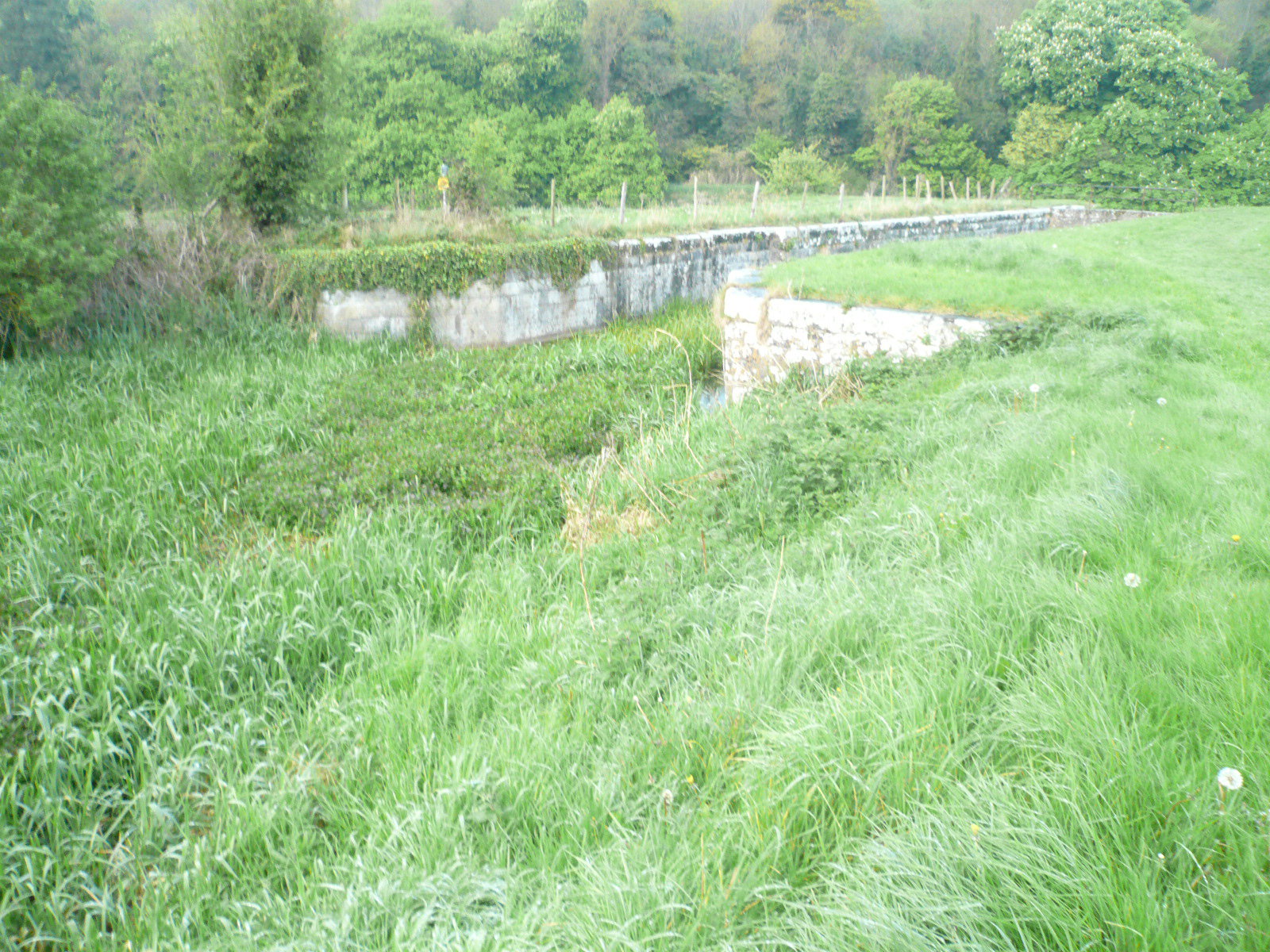 2017 05 Boyne Navigation, Slane Lock