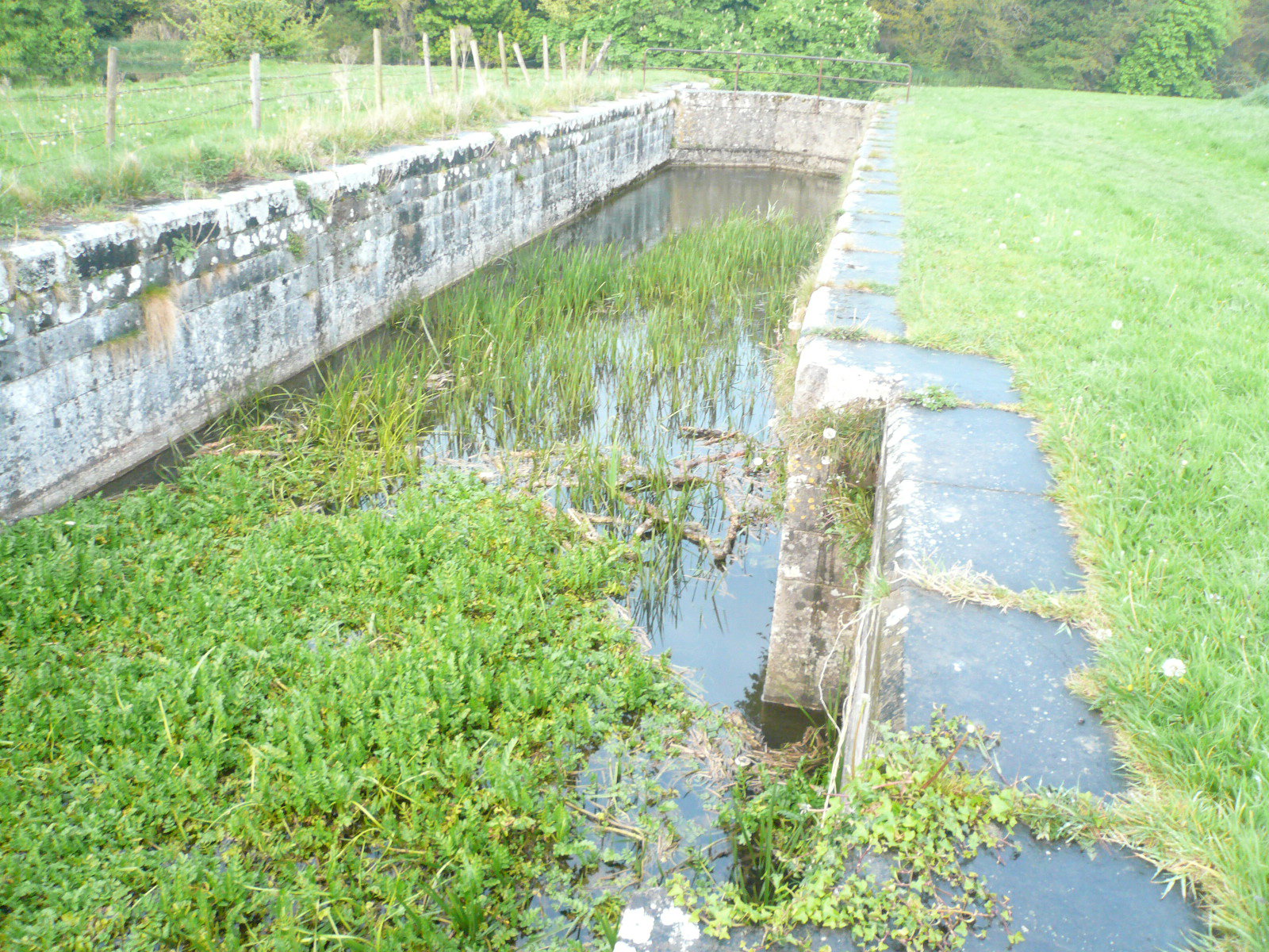 2017 05 Boyne Navigation, Slane Lock