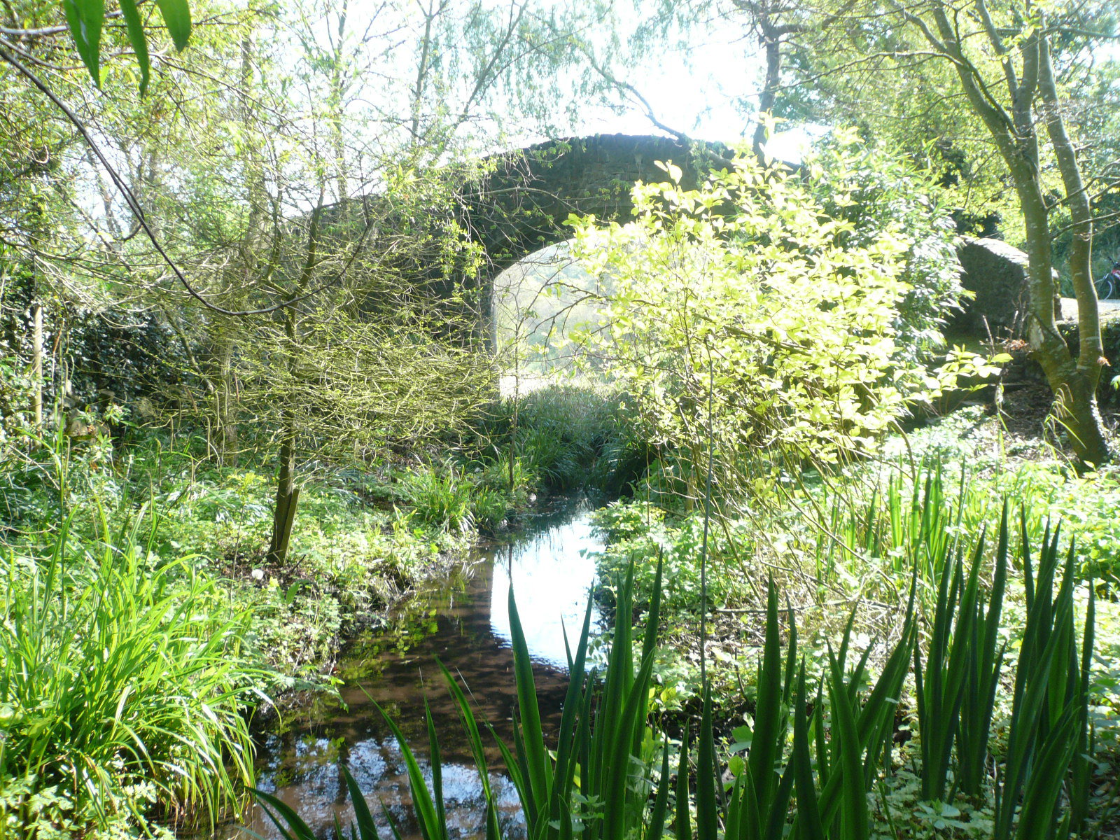 2017 05 Boyne Navigation, Staleen bridge