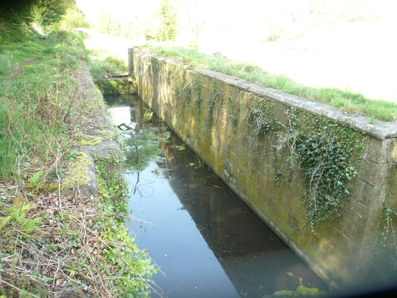 2017 05 Boyne Navigation, Staleen Lock