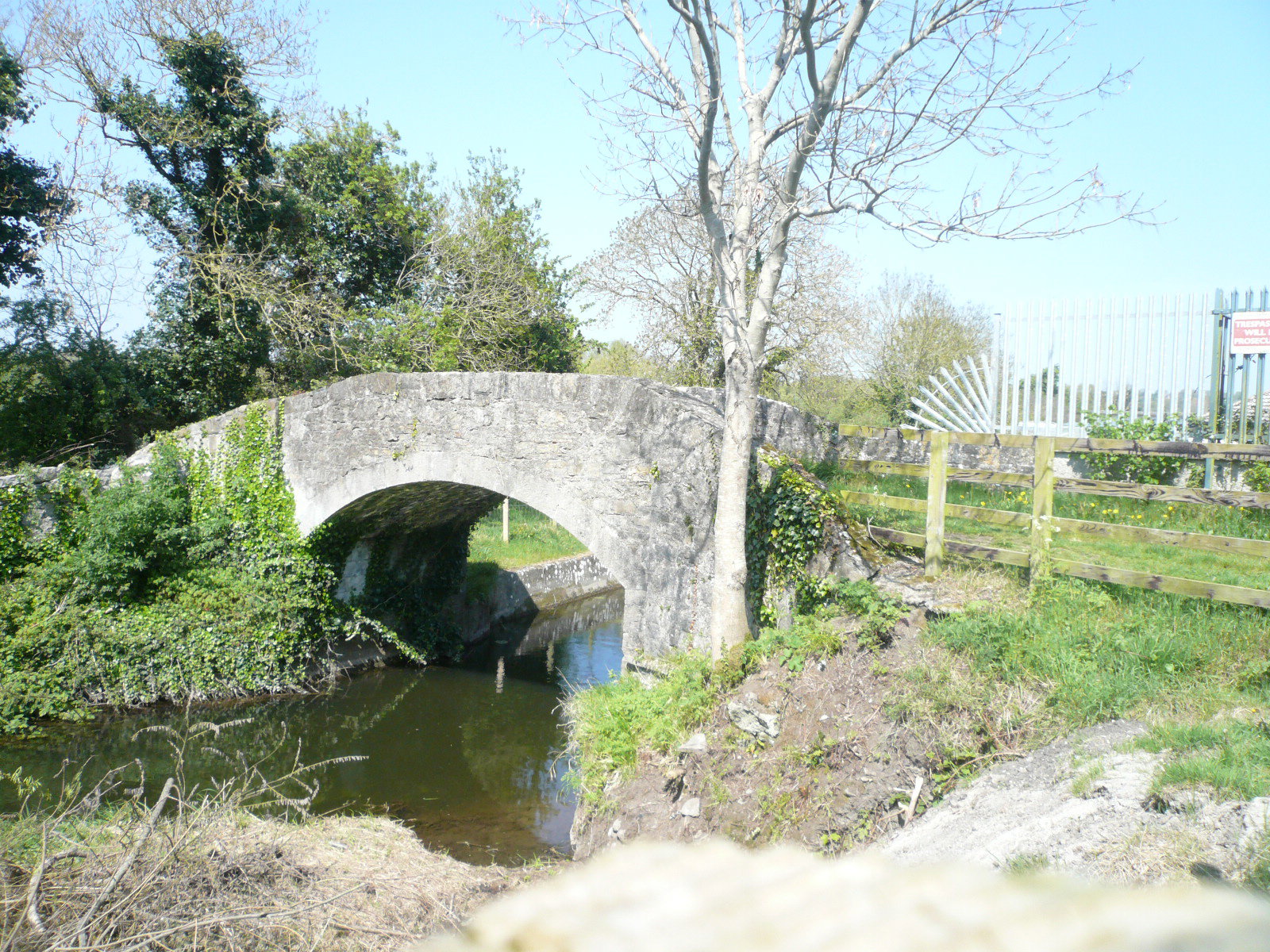 2017 05 Boyne Navigation, near Newgrange