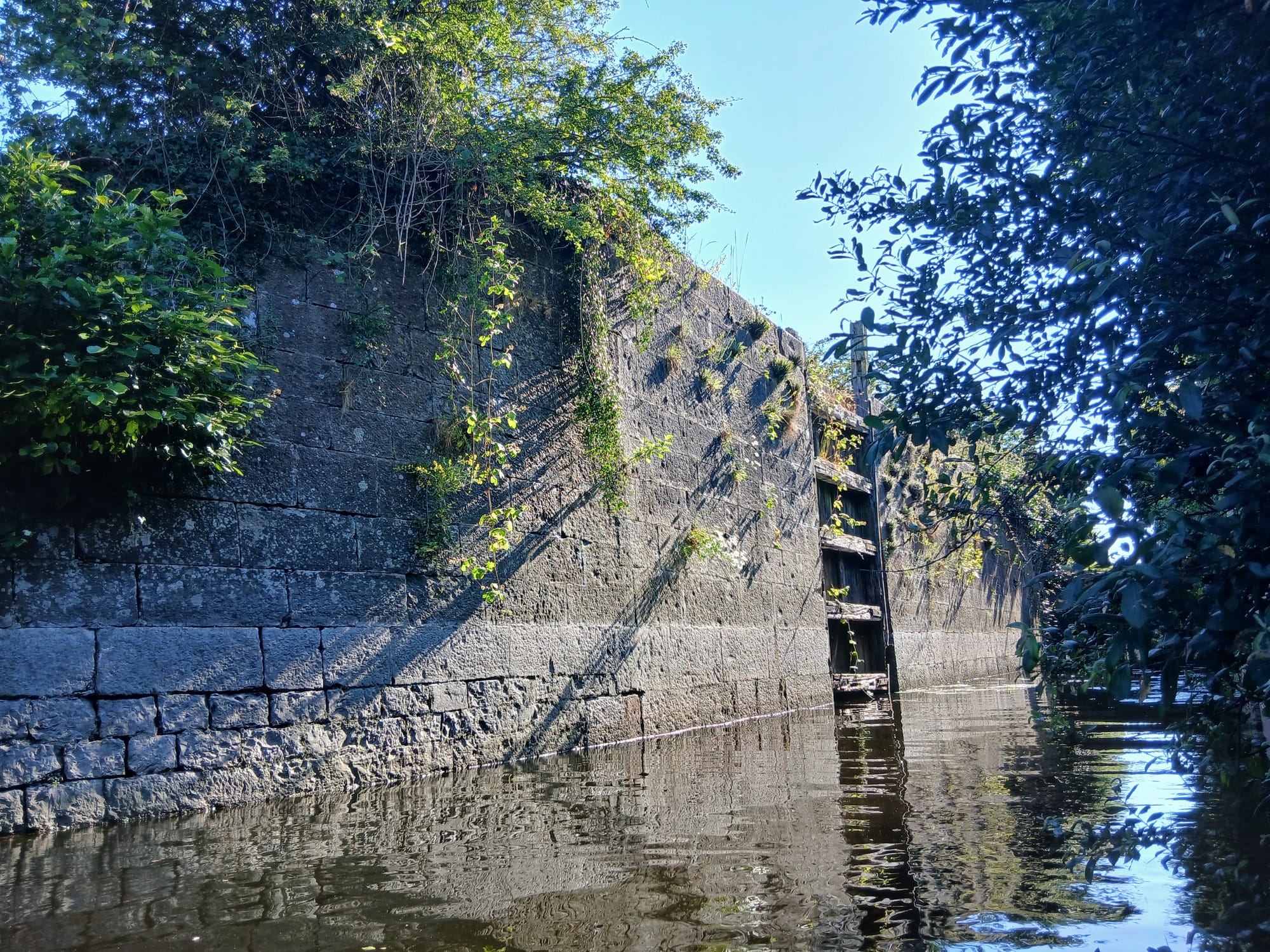 2026 07 07th Grand Canal Ballinasloe Line, Fannings Lock 37