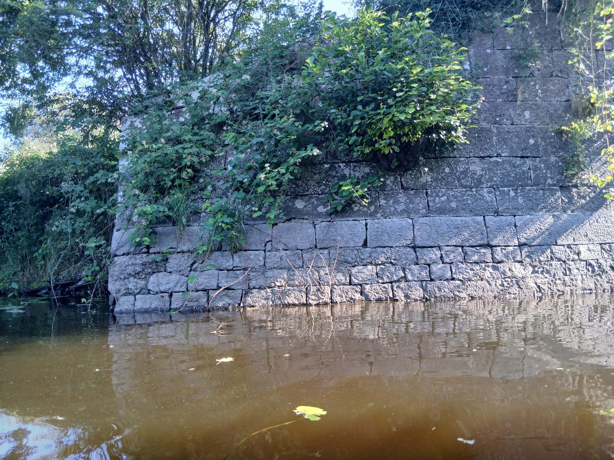 2026 07 07th Grand Canal Ballinasloe Line, Fannings Lock 37