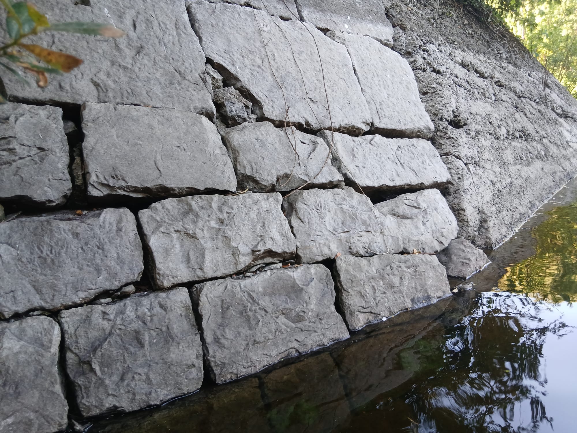 2026 07 07th Grand Canal Ballinasloe Line, Fannings Lock 37