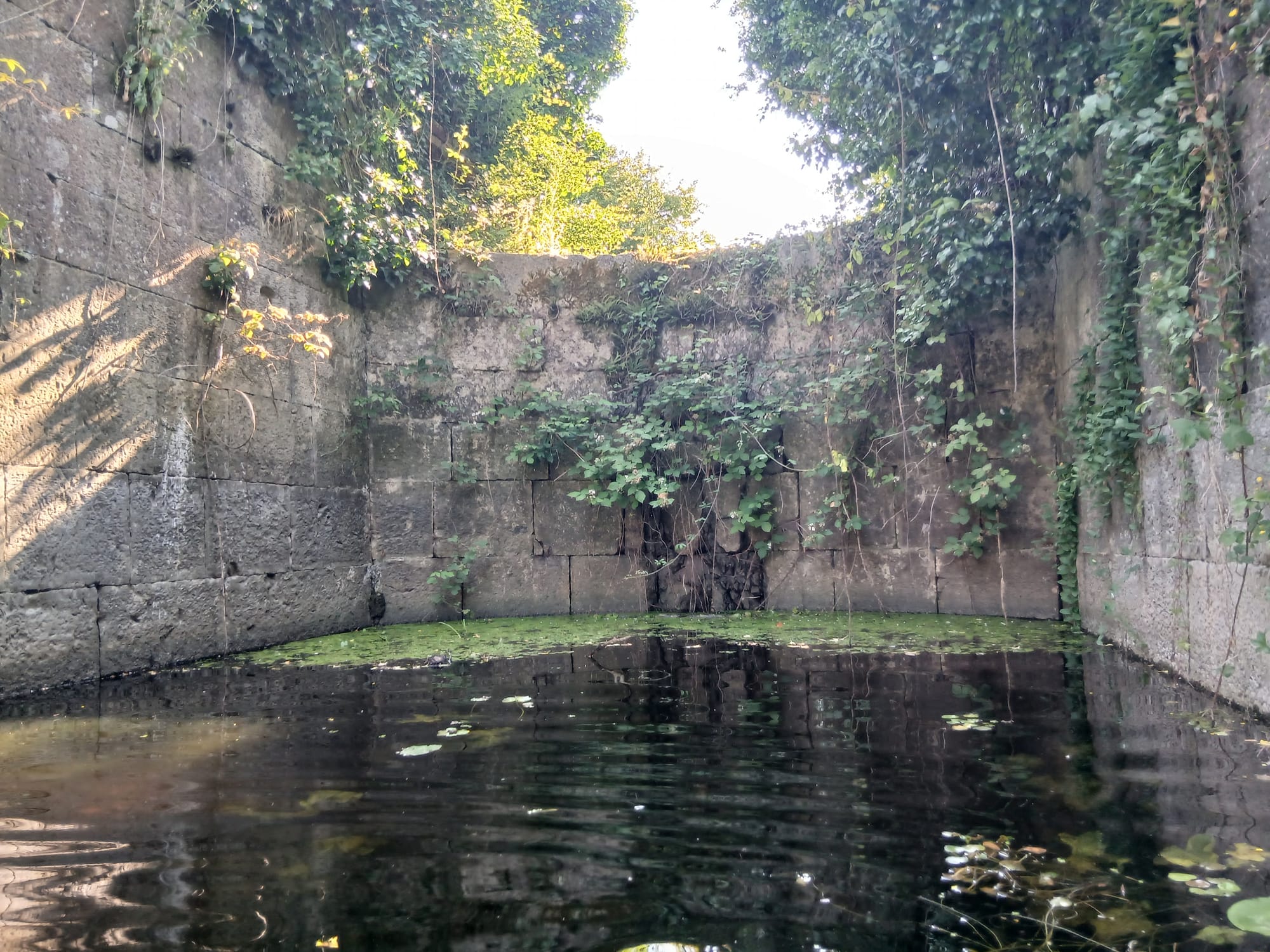2026 07 07th Grand Canal Ballinasloe Line, Fannings Lock 37