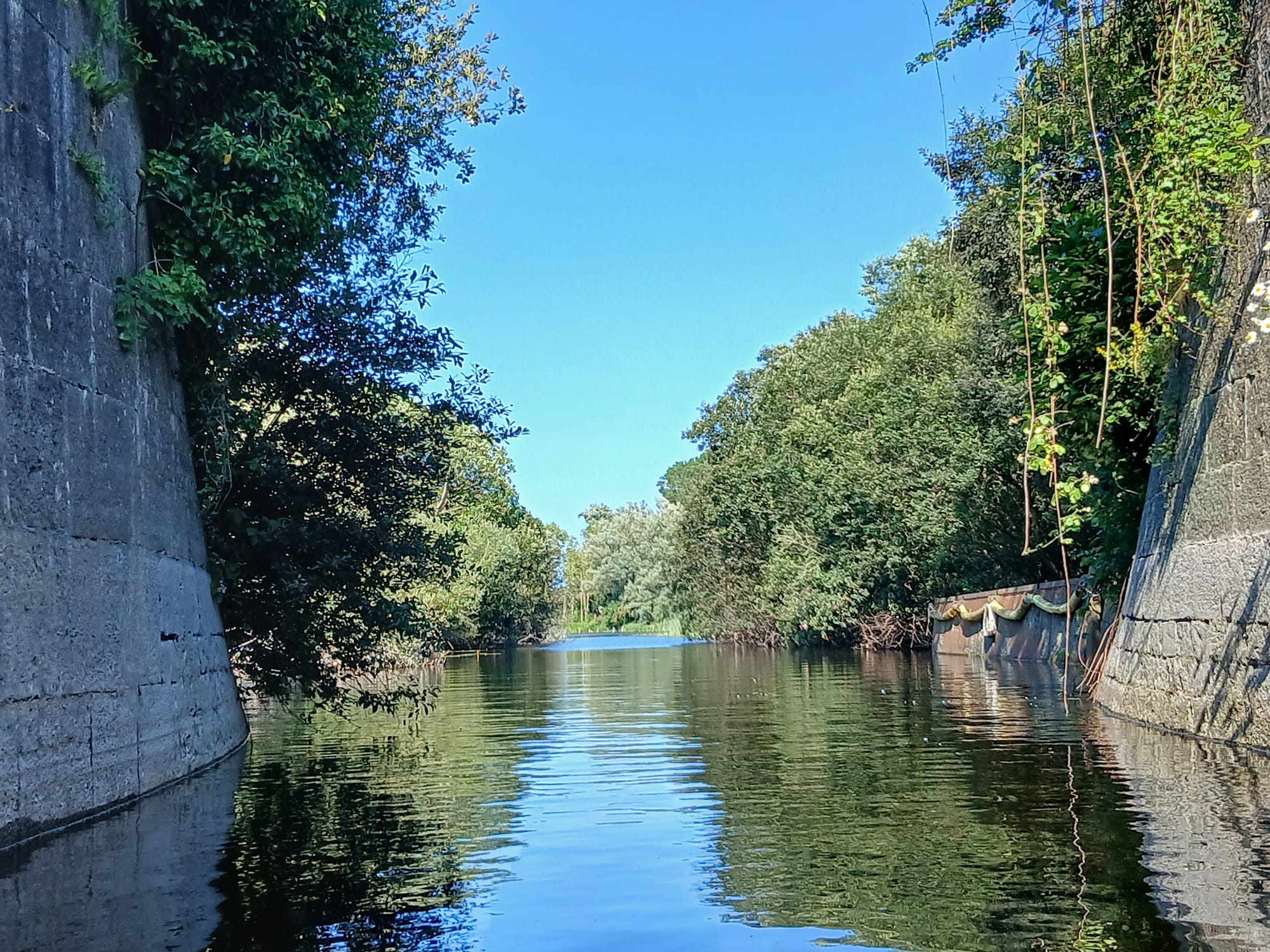 2026 07 07th Grand Canal Ballinasloe Line, Fannings Lock 37