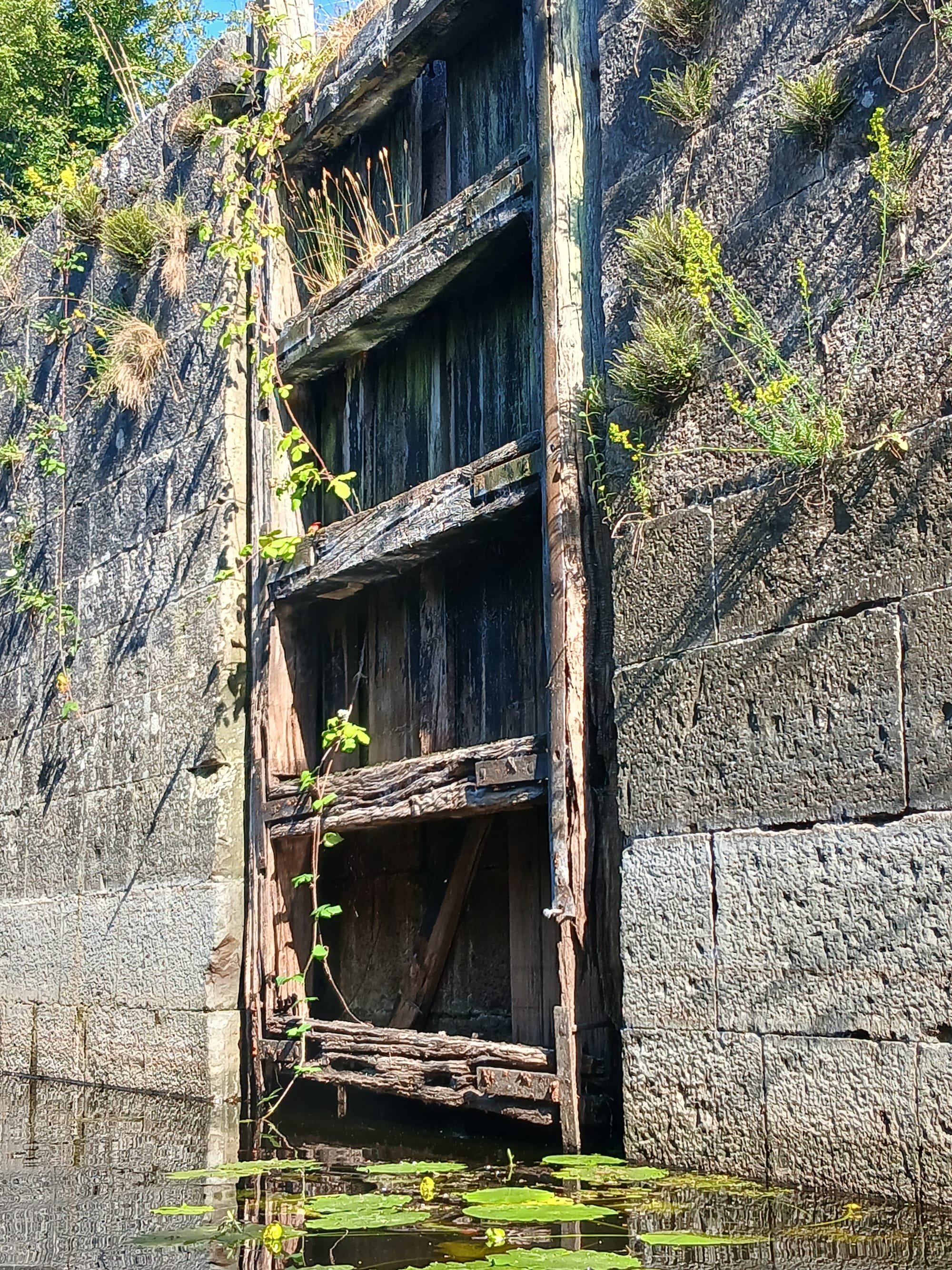 2026 07 07th Grand Canal Ballinasloe Line, Fannings Lock 37