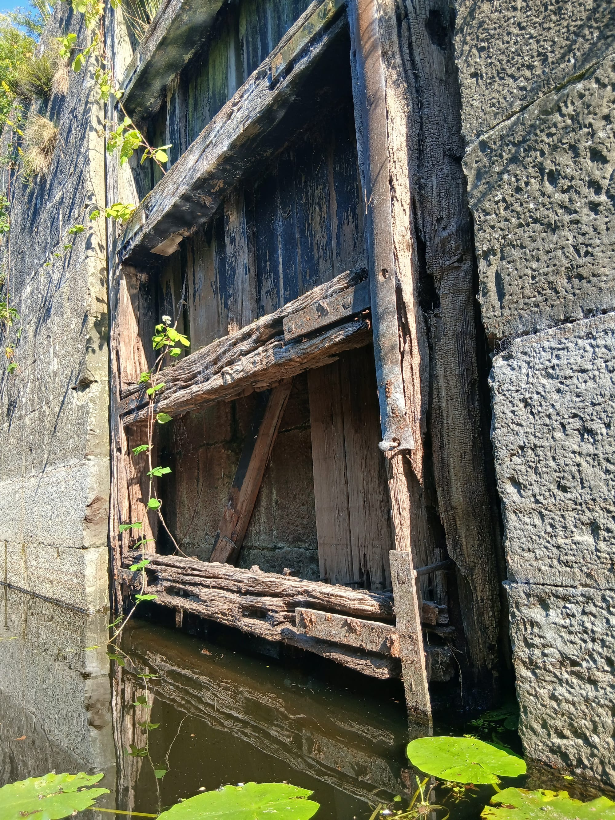 2026 07 07th Grand Canal Ballinasloe Line, Fannings Lock 37