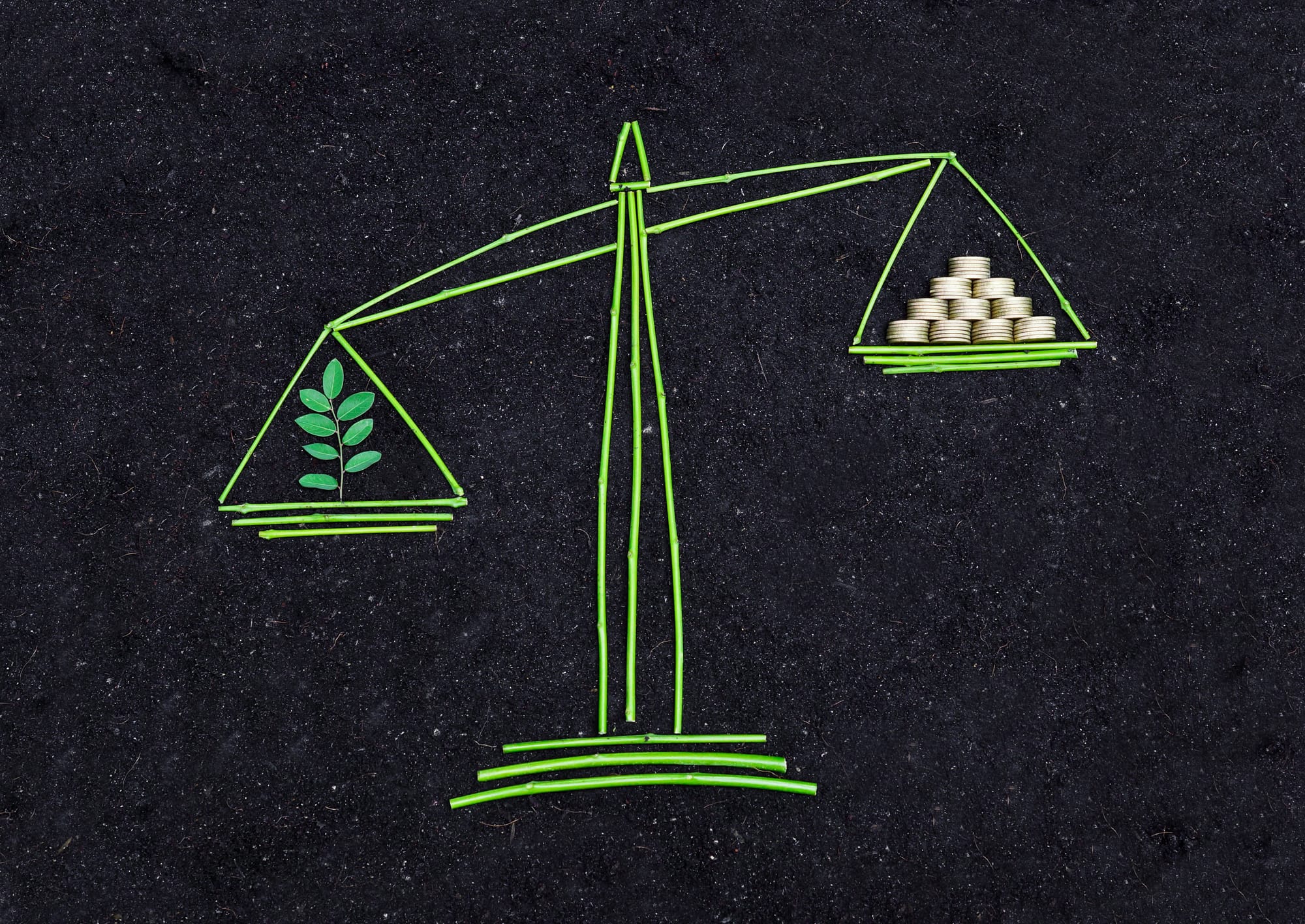 Beyond the Listing Threshold: Can Pakistan's ESG Framework Reach the Enterprises It Cannot Measure?