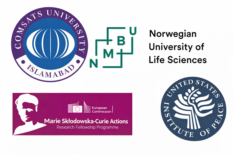 Senior Consultant - Resource Governance & Urban Security