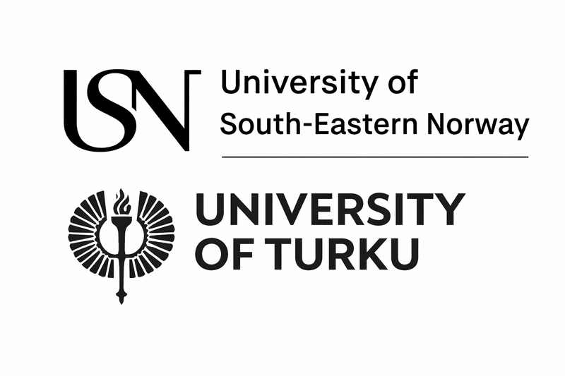 Associate Advisor - Business & Inclusion