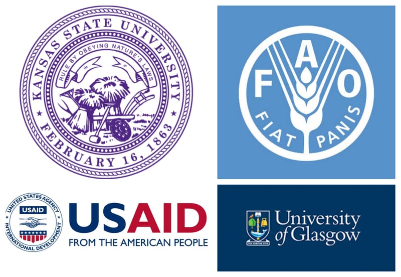 Senior Consultant - Development Economics & Climate Policy