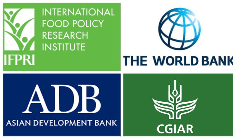 Senior Consultant - Development Economics & Climate Policy
