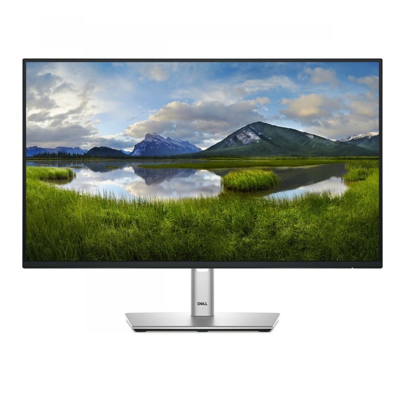 DELL Pro Plus P2425H monitor (23.8")