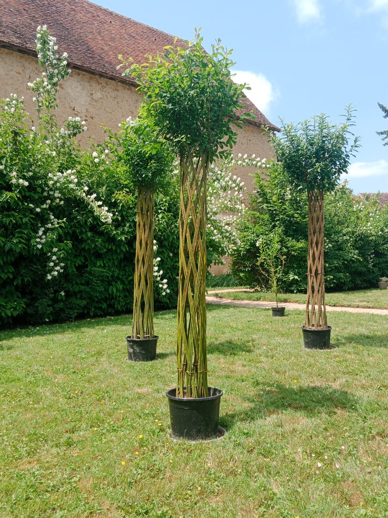 Aménagements paysagers