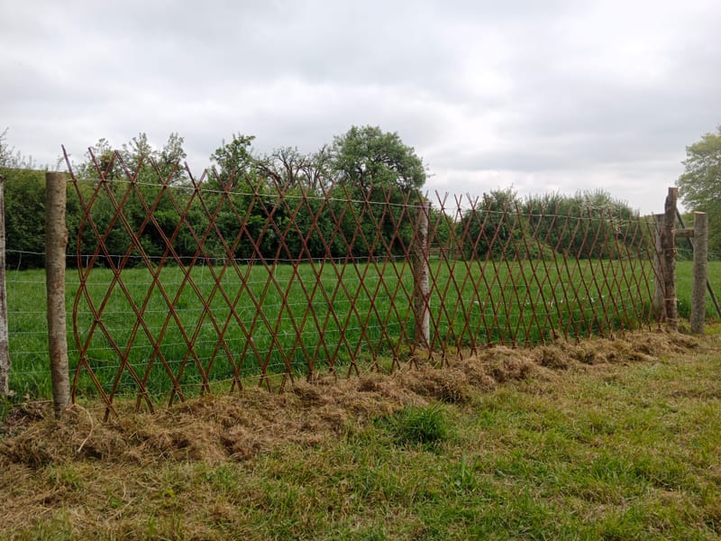 Atelier vannerie vivante