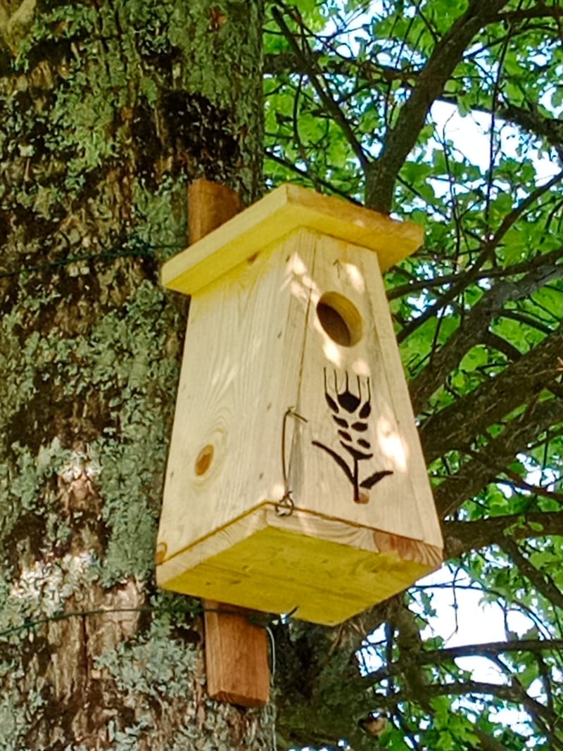 Atelier fabrication de nichoir à Huppe fasciée