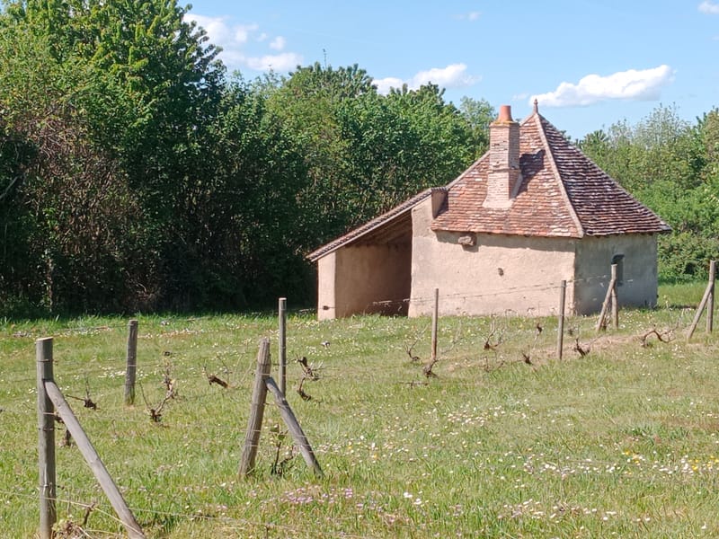 Découverte des Espaces Naturels Sensibles : "Les jardins de Beauregard".