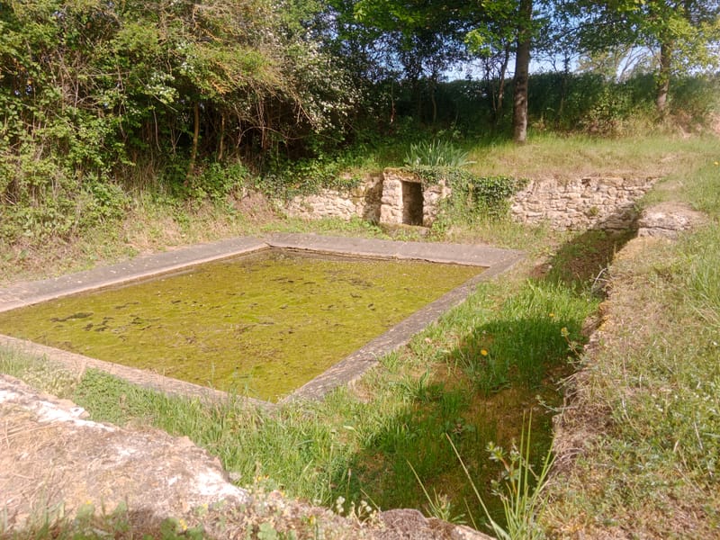 Découverte des espaces naturels sensibles : "Le sentier de Ferrière" à Néret