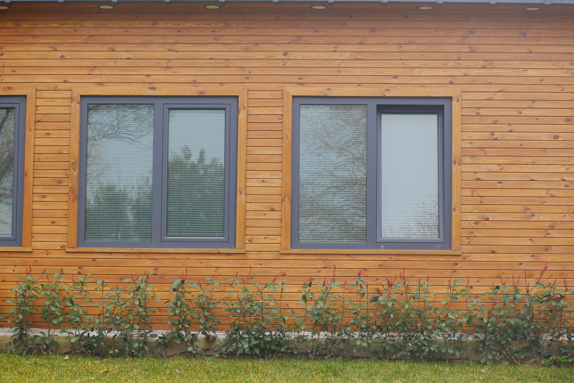 Fenêtre Mixte Alu/Bois MEO