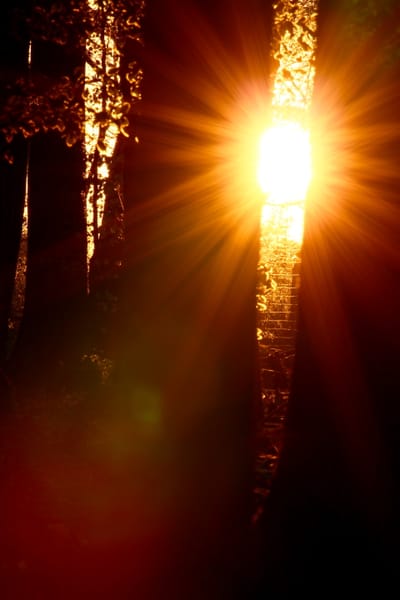 Choosing What Matters: The Power of Priorities