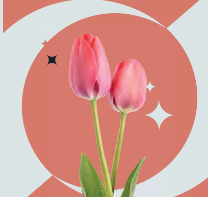 'עולות על בטוח'