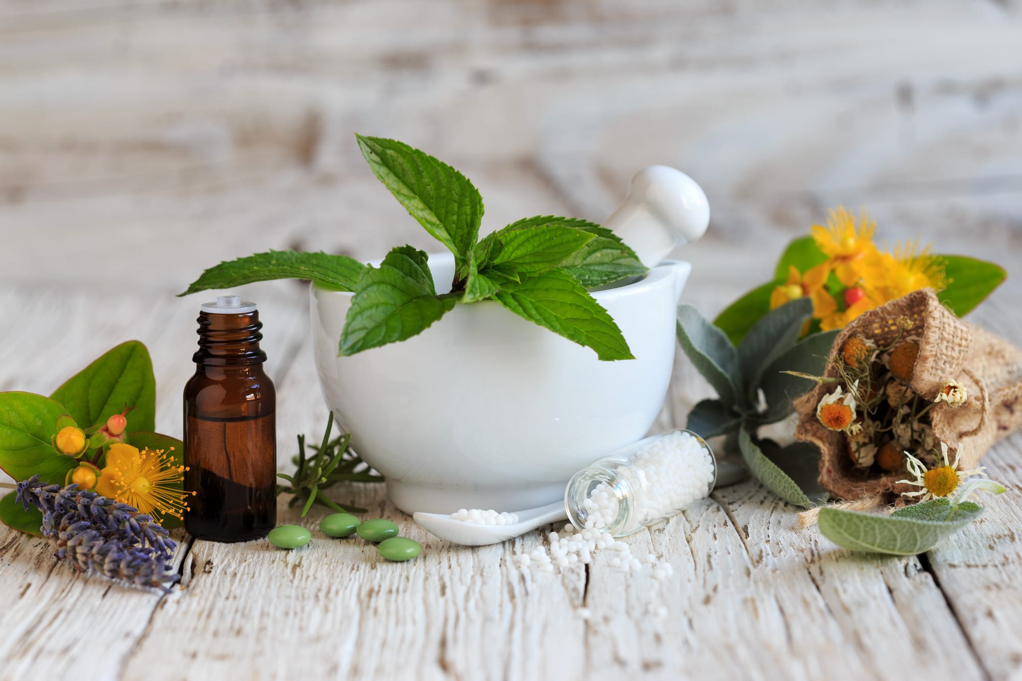 פתרון עדין לטיקים