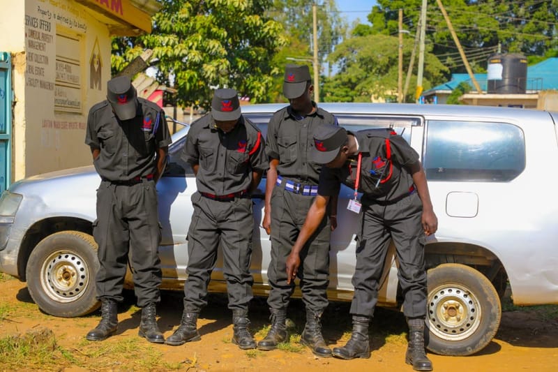 COMMERCIAL SECURITY SERVICES