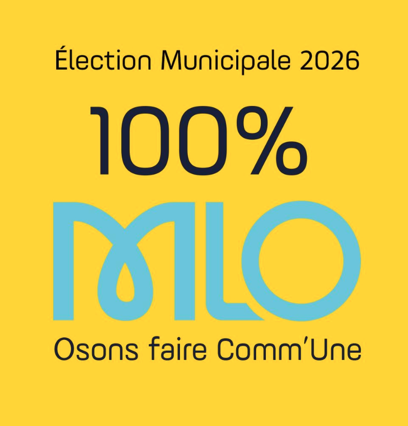 QUAND HERVÉ LETORET, TÊTE 100% MLO DEMANDAIT À P. SEPTIERS À QUOI SERT LA CC MORET SEINE & LOING.