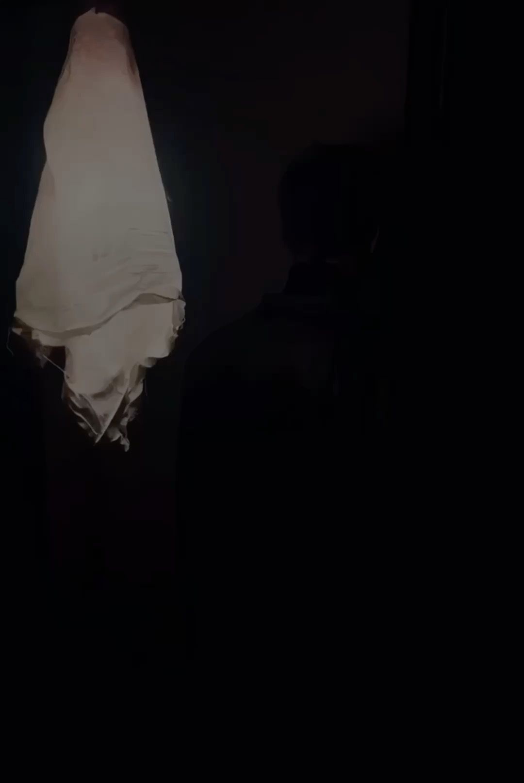 The Bagel (Everything, Everywhere, All at once)