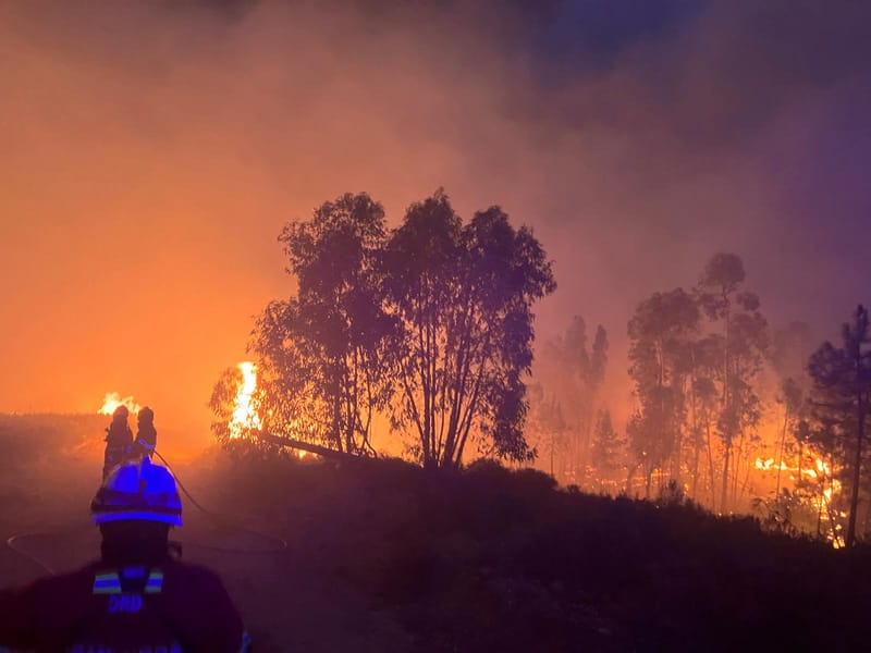 Operation of the week: High risk level and a four-day battle in Proença-a-Nova
